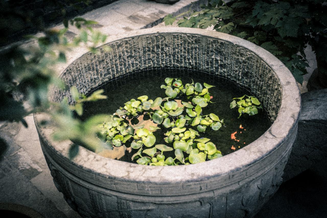 Hotel Selected Residence Pingyao Dış mekan fotoğraf